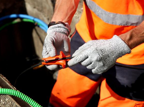 2-1 lovage en souterrain