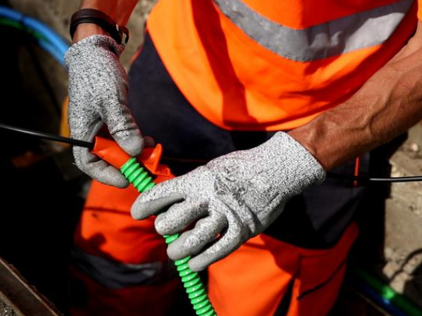 2-2 lovage en souterrain