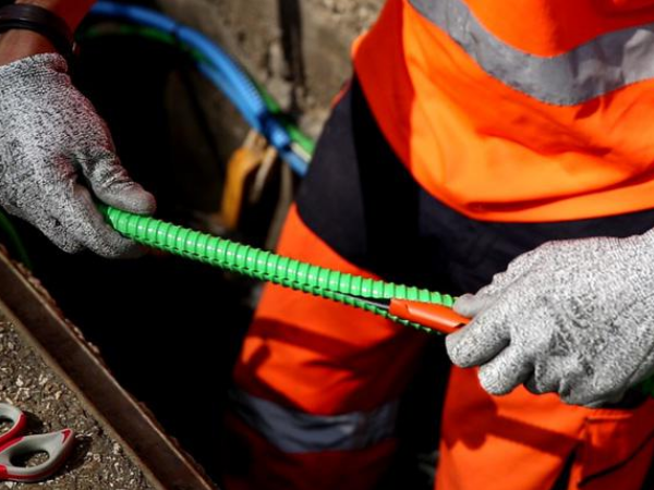 2-4 lovage en souterrain