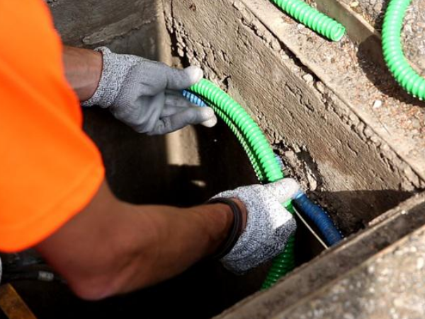 3-1 lovage en souterrain