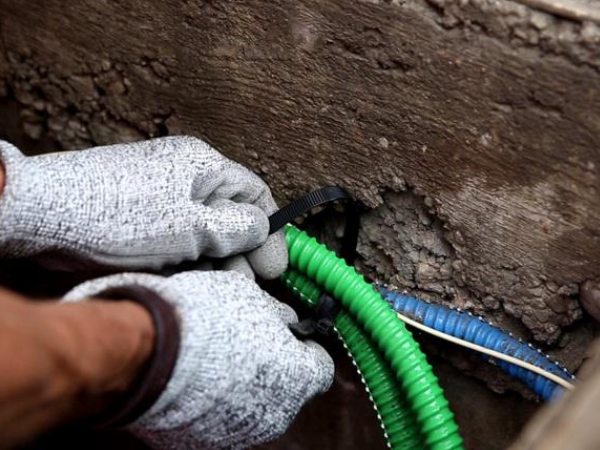 3-2 lovage en souterrain