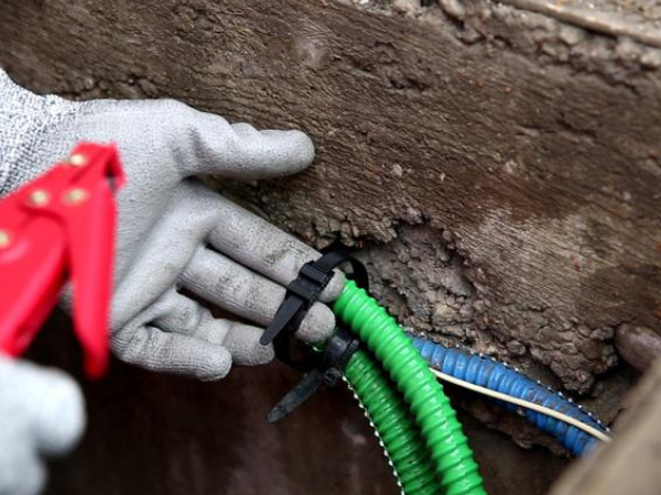 3-3 lovage en souterrain