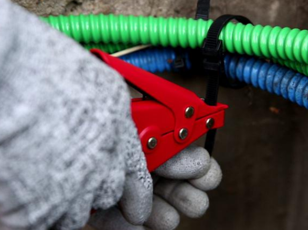 3-4 lovage en souterrain