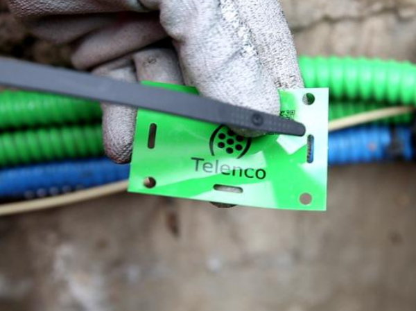 4-1 lovage en souterrain