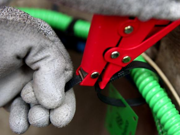 4-2 lovage en souterrain