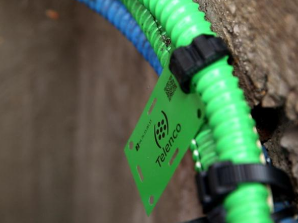 4-3 lovage en souterrain