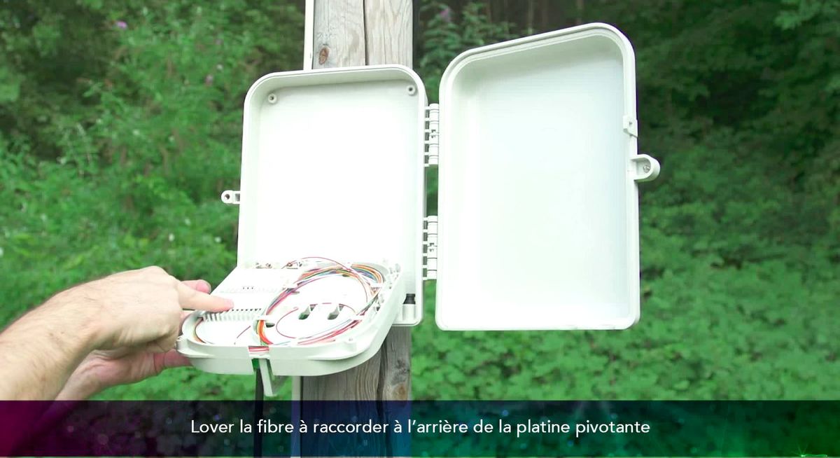 7 boîtier distribution
