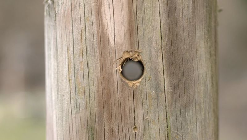 2-4-D_ploiement_sur_poteau_3_bois_Deploiement_poteau3_3